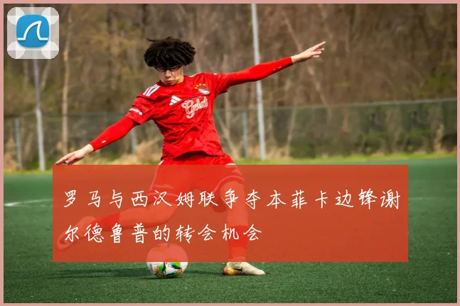 罗马与西汉姆联争夺本菲卡边锋谢尔德鲁普的转会机会